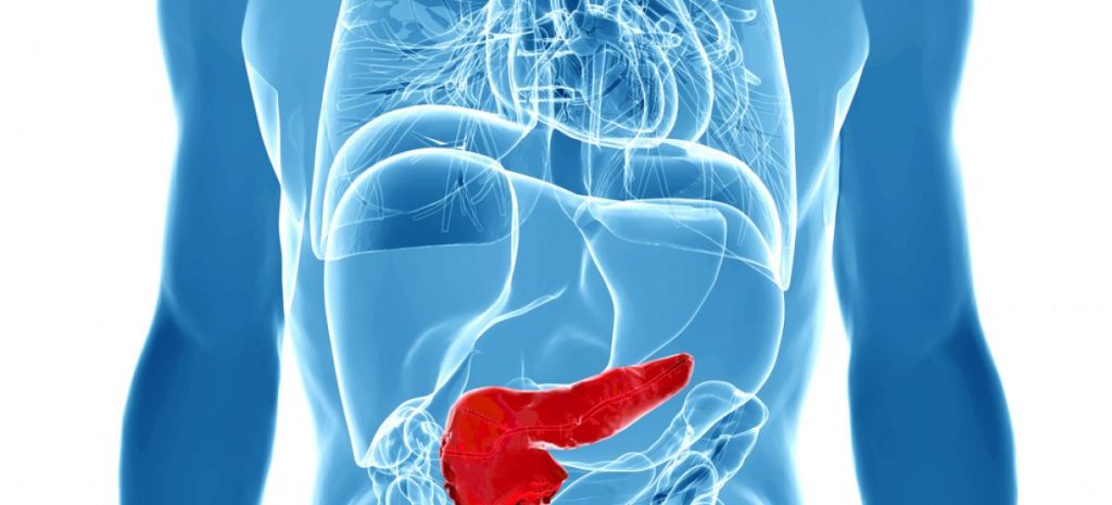Какой врач лечит поджелудочной железы